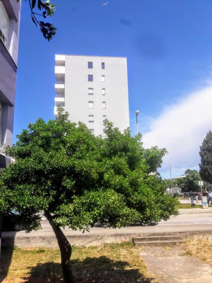 Appartement Moonlight Zadar